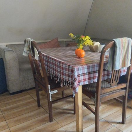 Everyday Cat Hostel Батуми Экстерьер фото