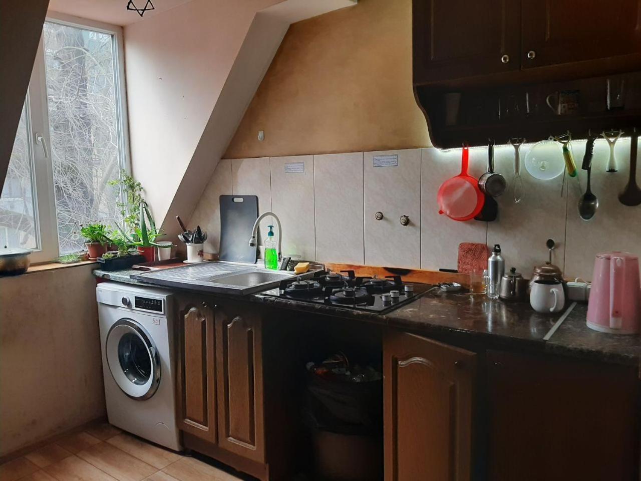 Everyday Cat Hostel Батуми Экстерьер фото