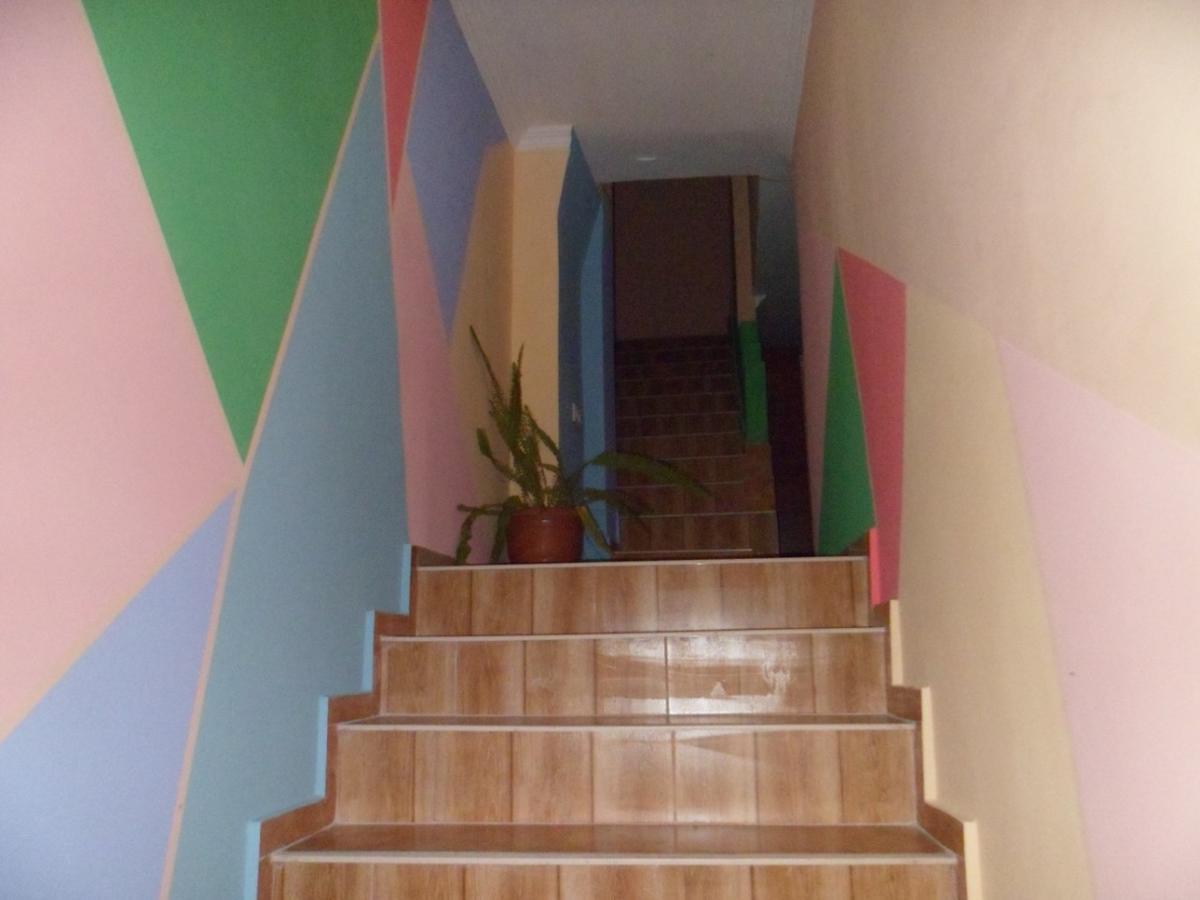 Everyday Cat Hostel Батуми Экстерьер фото