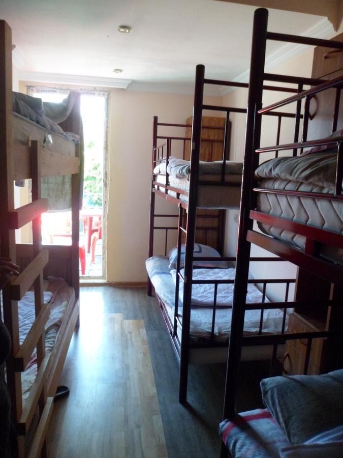 Everyday Cat Hostel Батуми Экстерьер фото