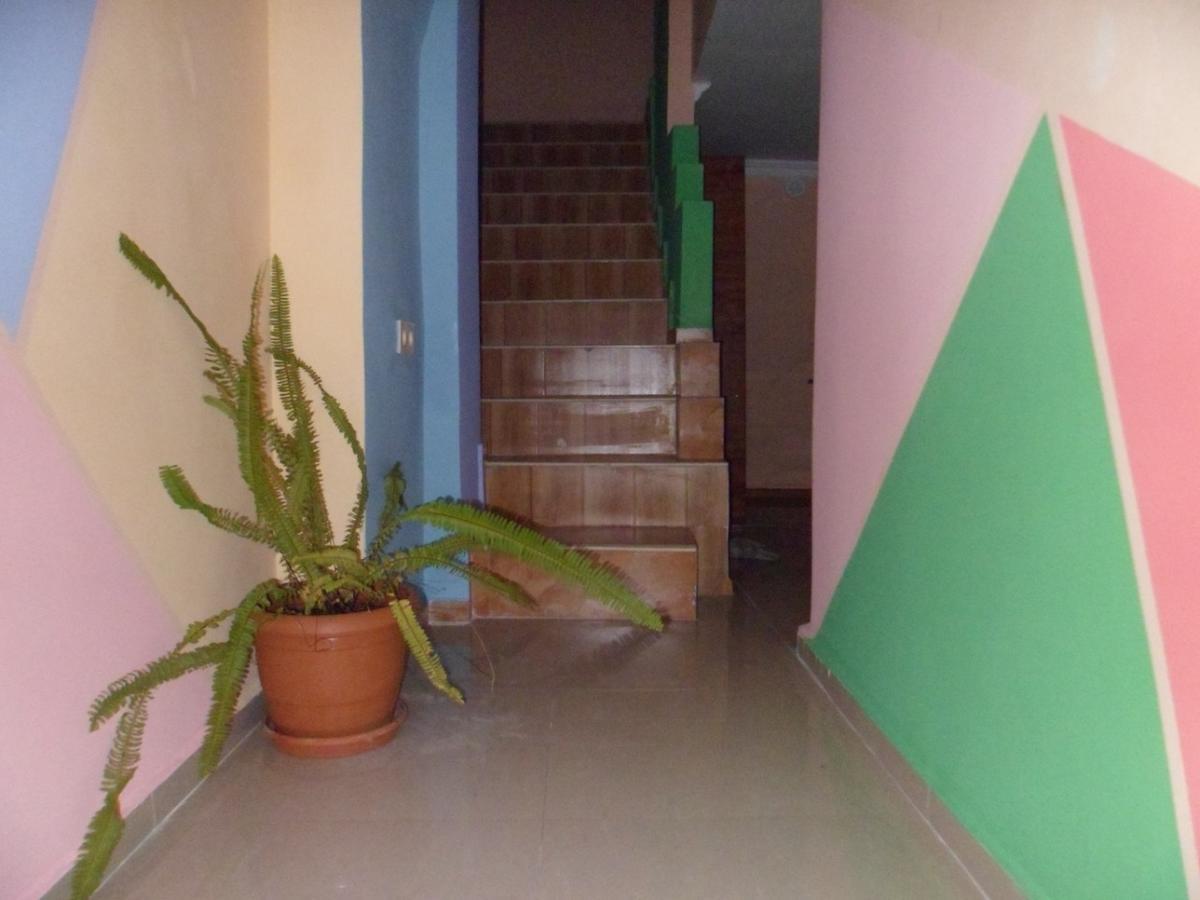 Everyday Cat Hostel Батуми Экстерьер фото